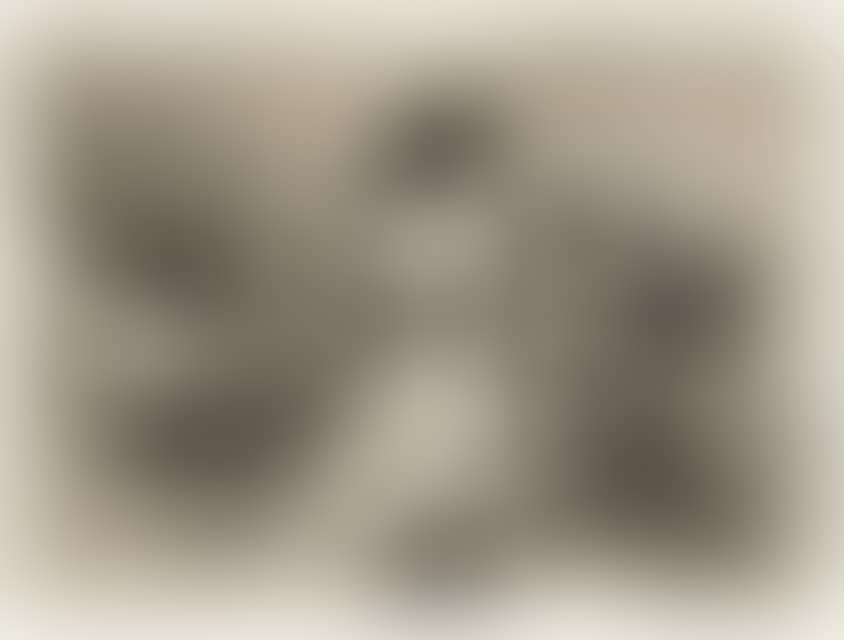 2 sheets: No quieren (They don"t want it) - Para eso habeis nacido (This is what you were born for). (preview)
