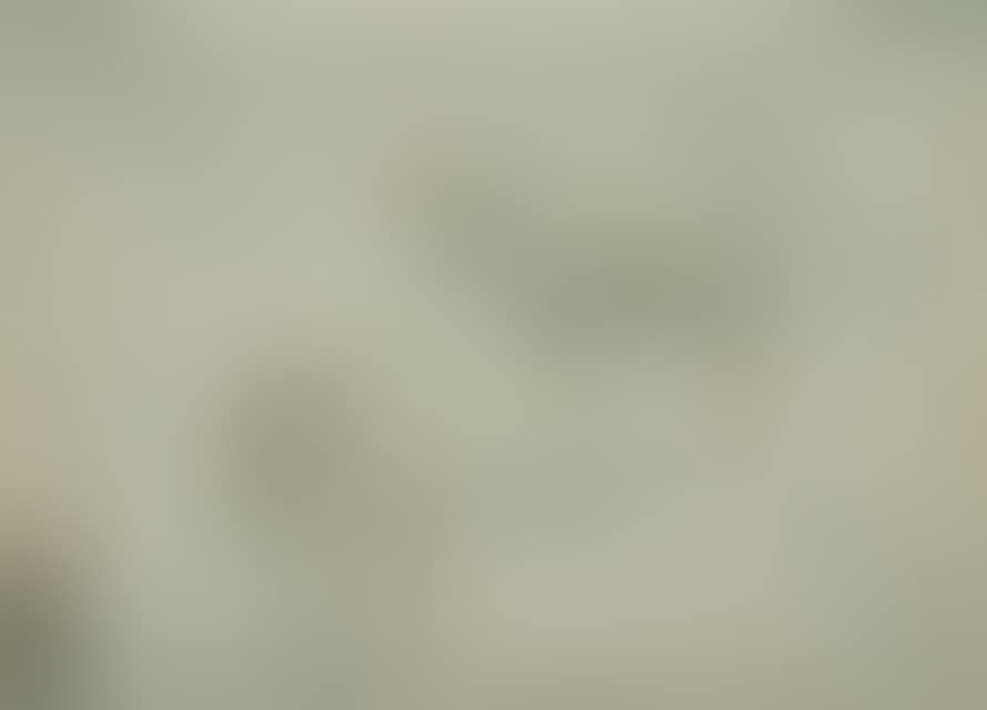 Study sheet with sheep. (preview)
