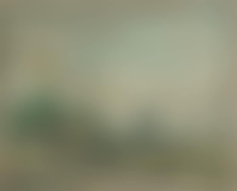 Plowing farmer with child and dog. (preview)
