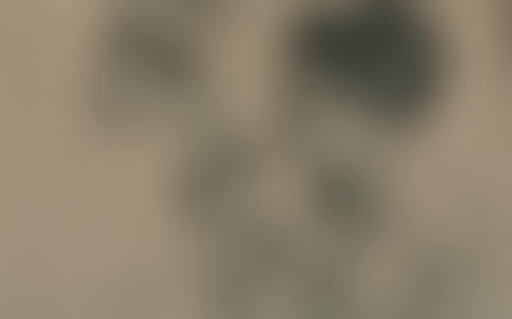 Study sheet: Woman with folded hands. (preview)
