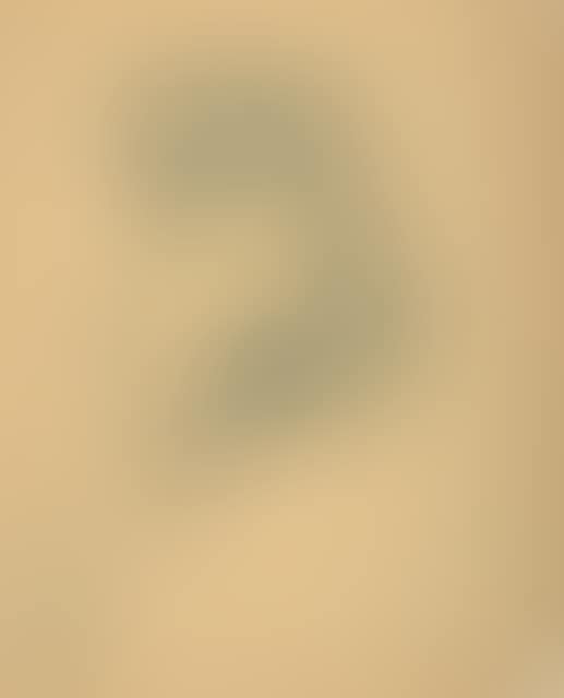 Female nude. (preview)