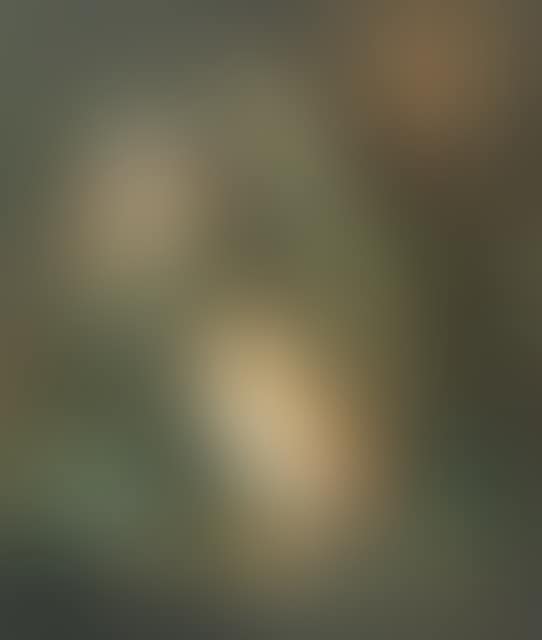 Forest scene with a barn owl, tawny owl, chaffinches and a toad (preview)