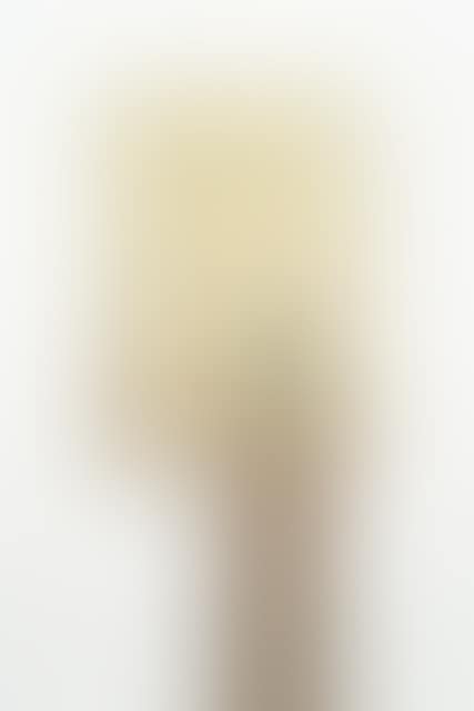 Woman with a Green Dress against a Gold and Silver Relief (preview)
