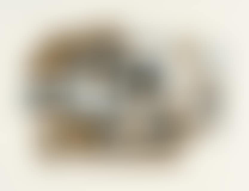 Nature morte (preview)