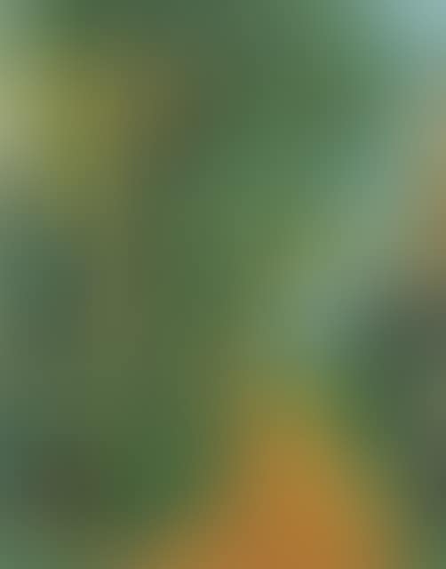 “Waldweg” (Forest path) (preview)