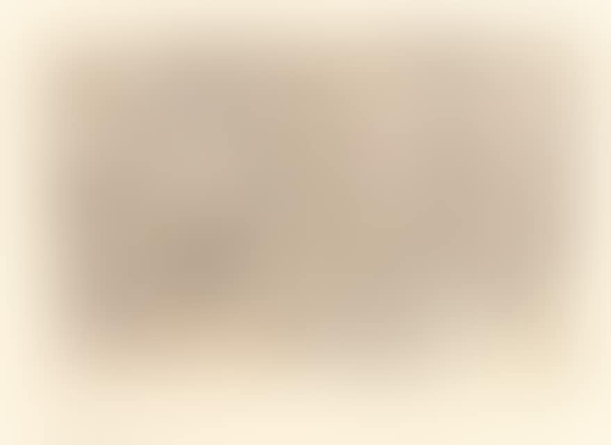 “Zeichnung aus Rom” (preview)