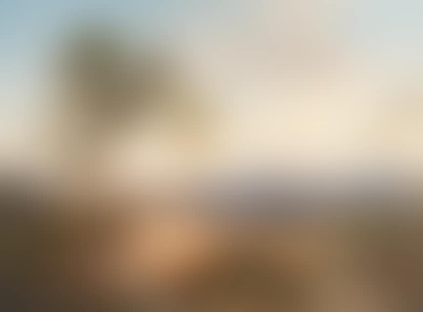 Campagna landscape (preview)