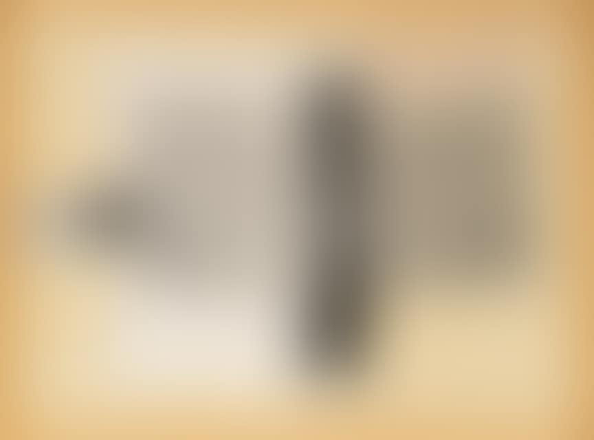 Sheephead (from: The Airport Series) (preview)