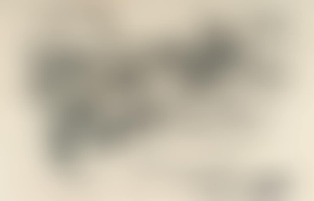 Rider (preview)
