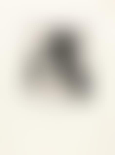 Fran. Goya y Lucientes, Pintor (Self portrait) (preview)