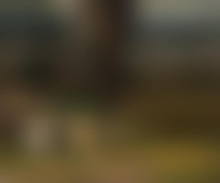 Landscape on the river Elbe with sheep (preview)