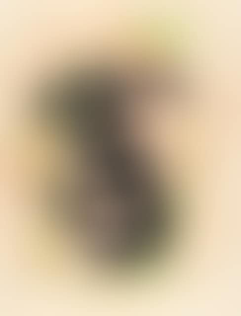 Head (preview)