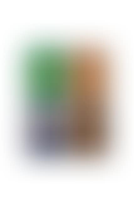 Mr Green, Mr Orange, Mr Blue and Mr Brown (preview)