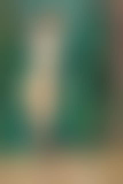 Standing female nude by a green curtain (preview)