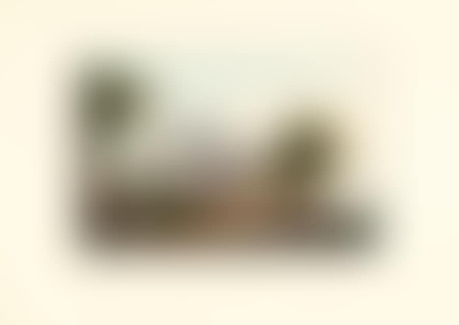 4 sheets: View of the river Rhine (preview)