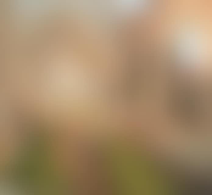 Ruins of a cloister (preview)