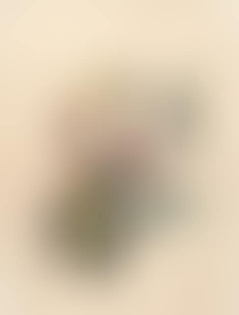 Recto: Abstract forms - Verso: Reddish animal (preview)