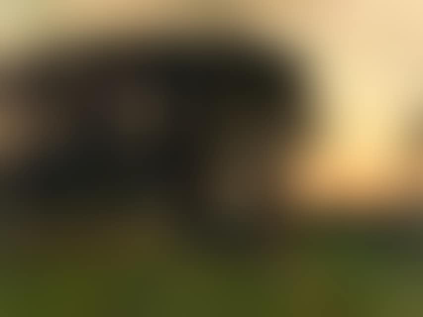 Young farmer returning from the field (preview)