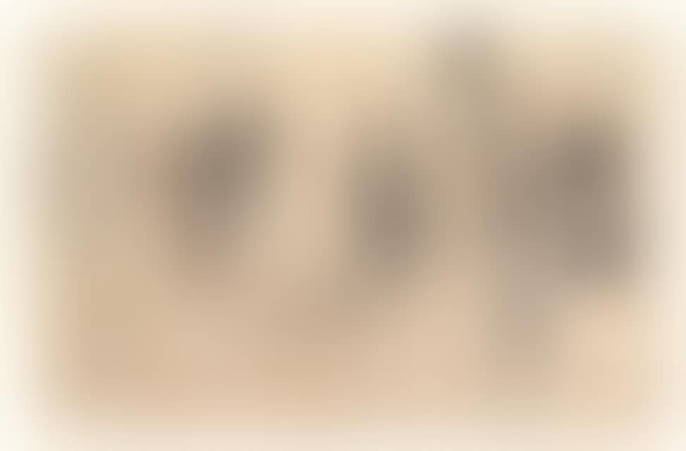 Assembly II (preview)