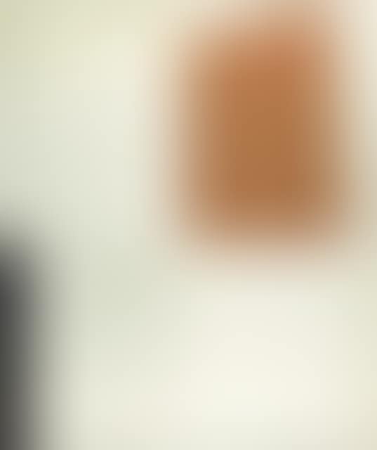 Two-system image (preview)
