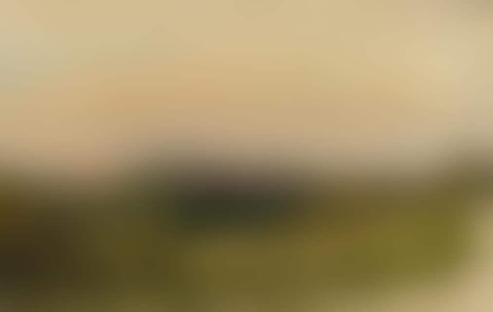 Landscape in the Evening (preview)