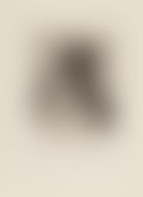 Fran. Goya Y Lucientes, Pintor (Self-Portrait) (preview)