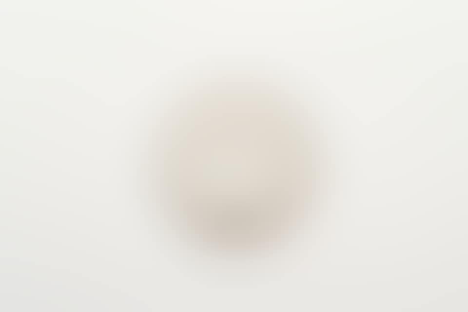 Un ovale bianco (White oval) (preview)