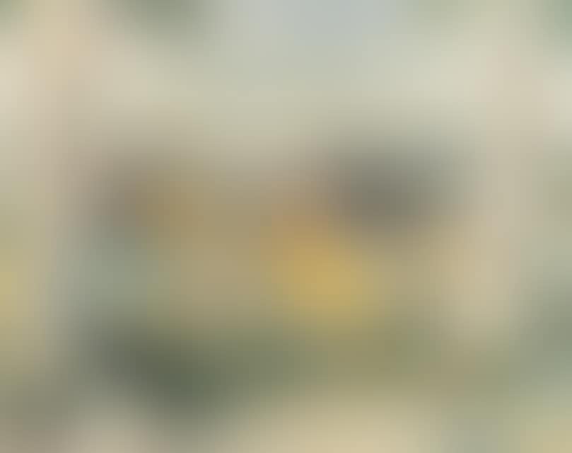 The country road (preview)