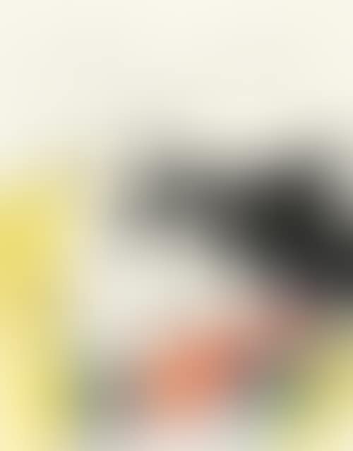 Untitled (preview)