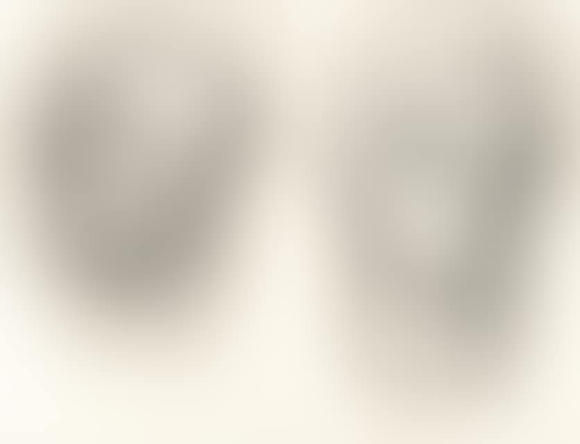 Recto: Untitled (Antique heads) - Verso: Study of a head (preview)