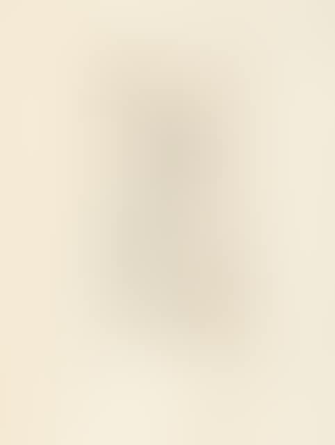 Female nude from the front as half figure (preview)