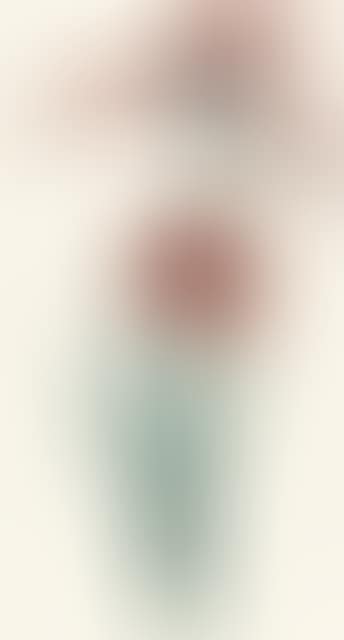Red lily (preview)