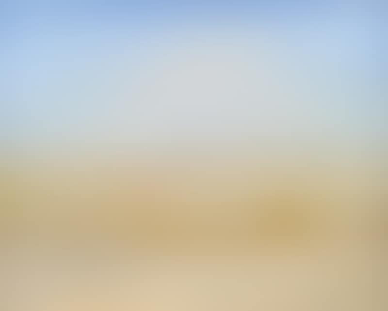 Sheep Grazing, Wimmera (preview)