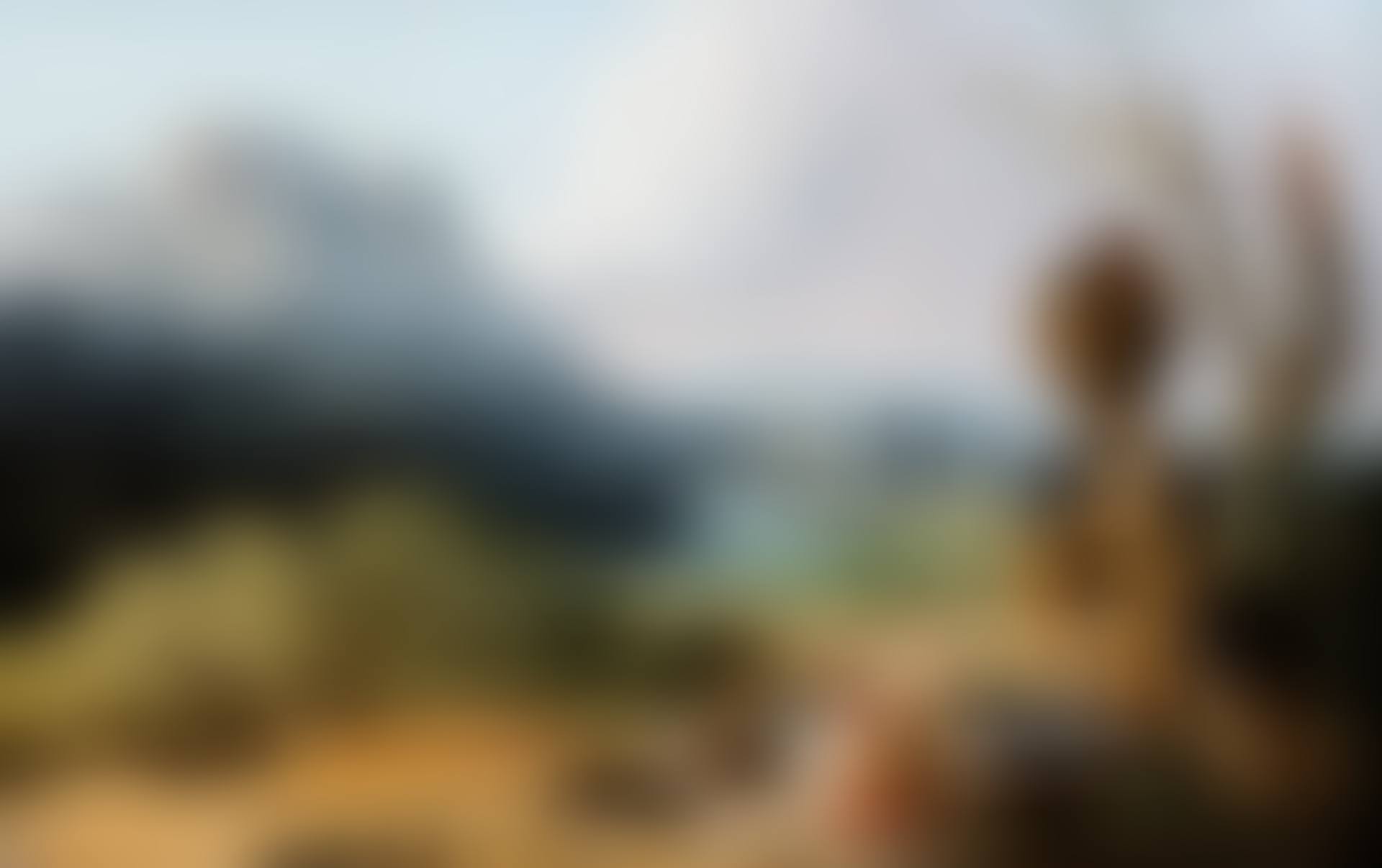 WASHERWOMAN IN A LANDSCAPE (preview)
