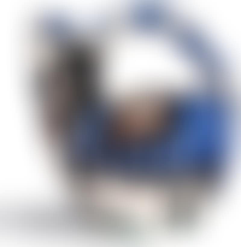 Cavalier et Cheval (preview)