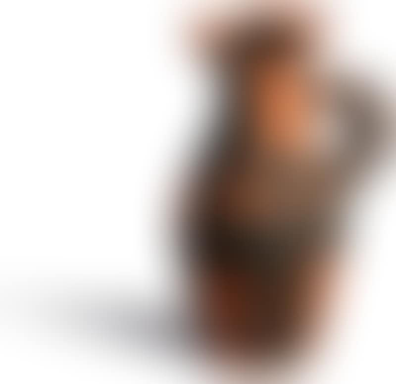 Little-headed Yan (preview)