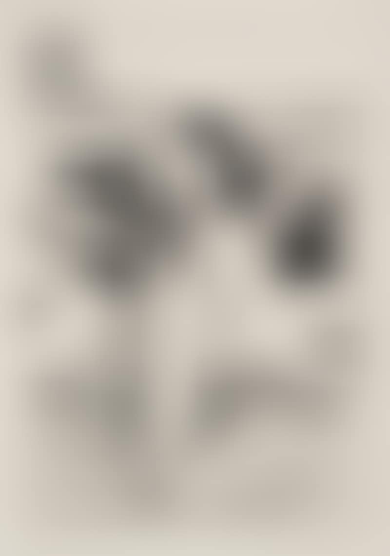 Untitled (July 25-26) (preview)