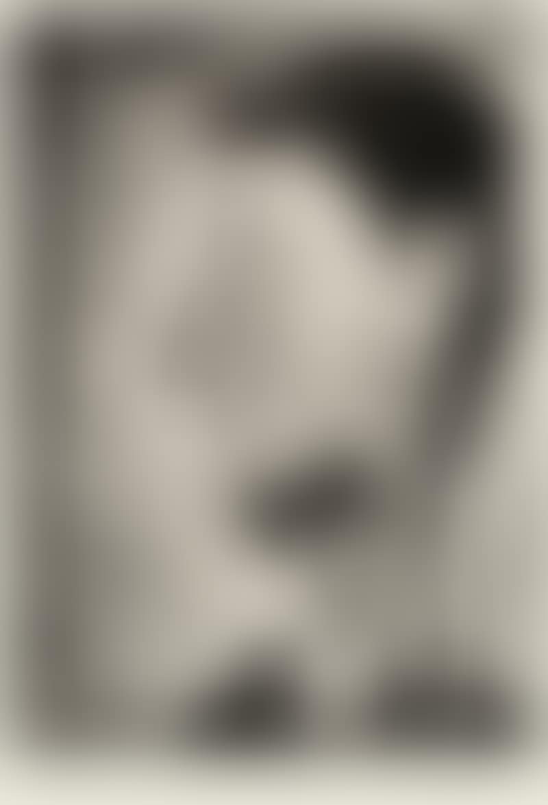Portrait de Pierre Crommelynck (preview)