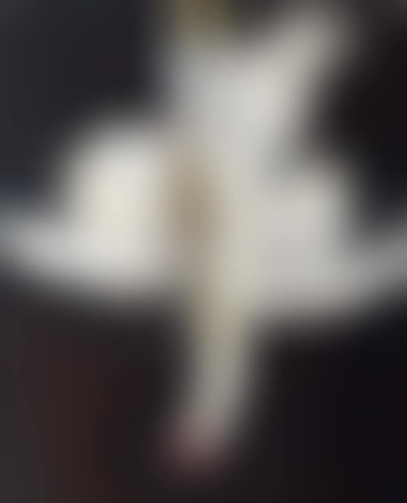 Big Chook; (preview)