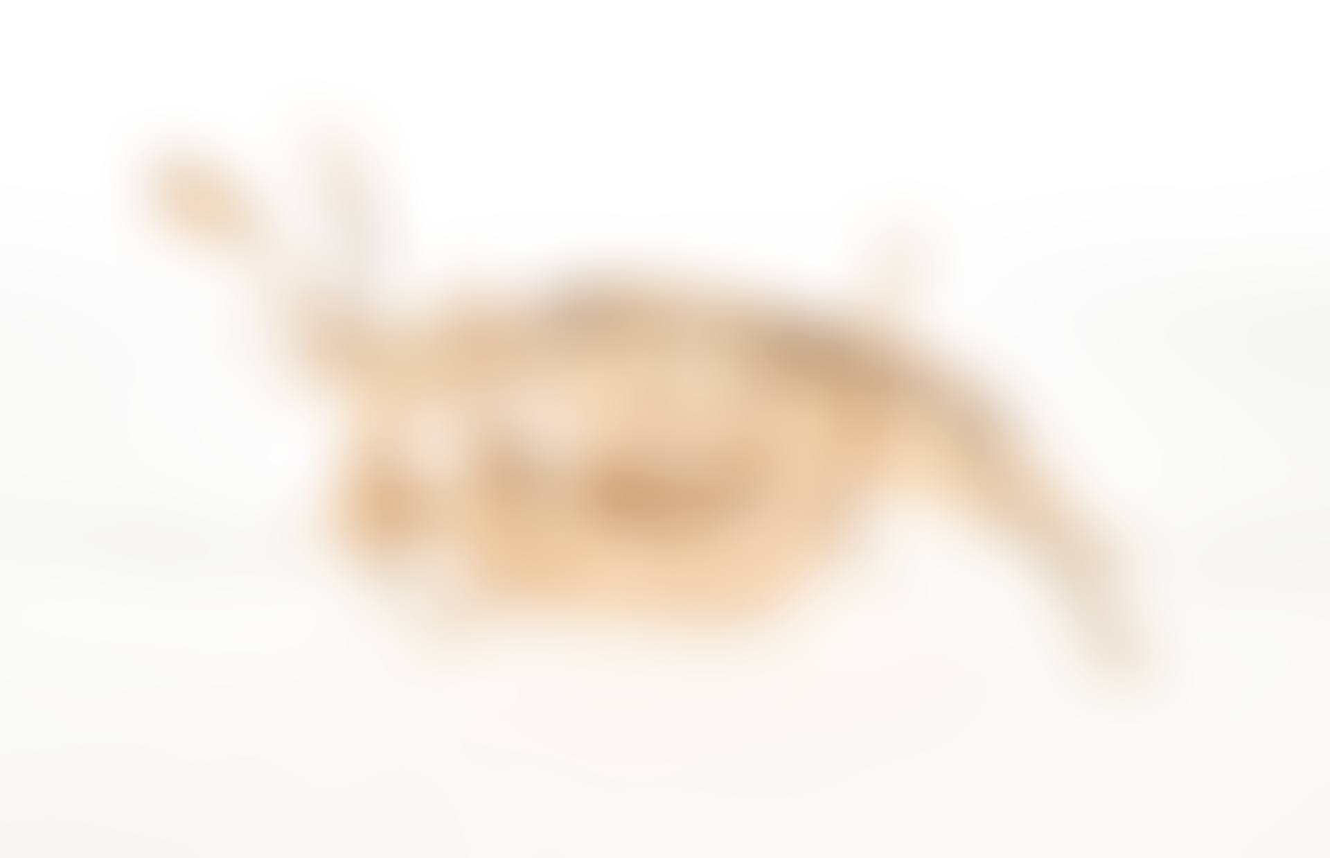 Trophy (preview)