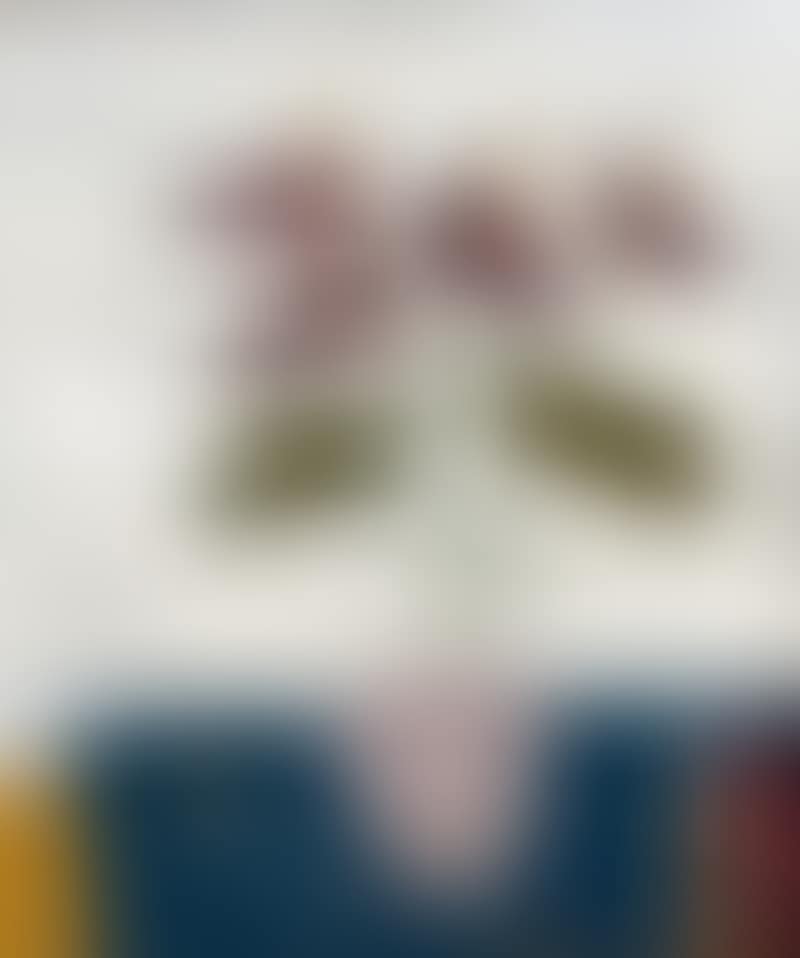Still Life (preview)