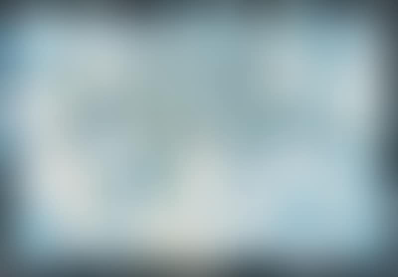 The Bluebird Cloth (preview)