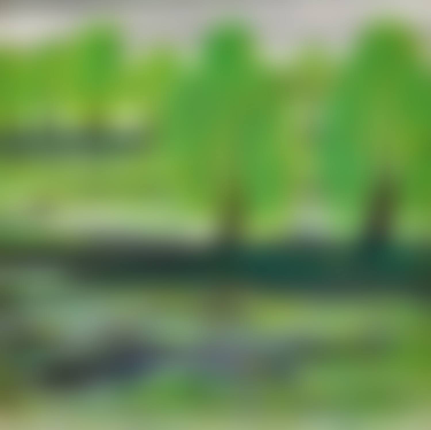 WEST LAKE (preview)