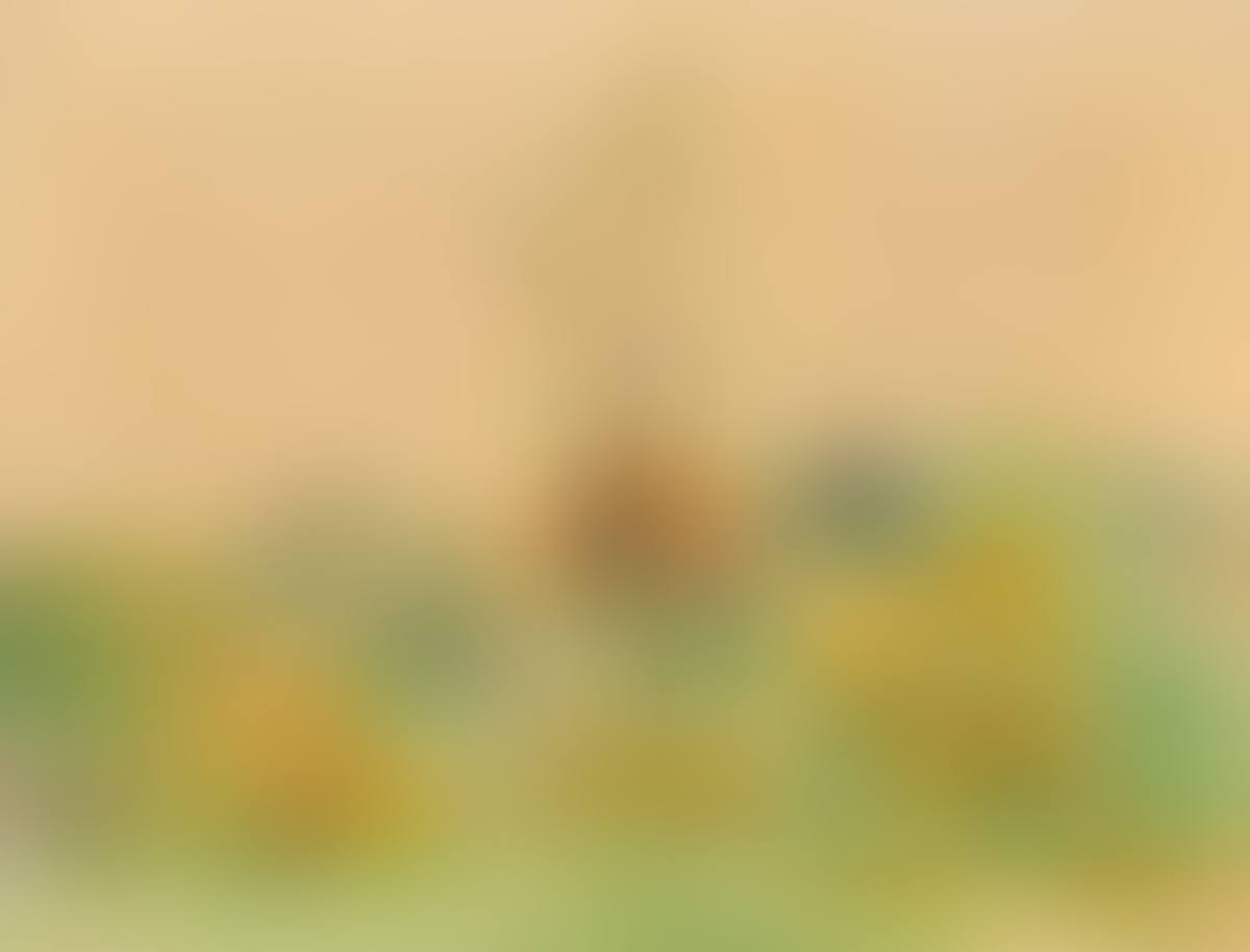 SCENERY OF BRUSSELS (preview)