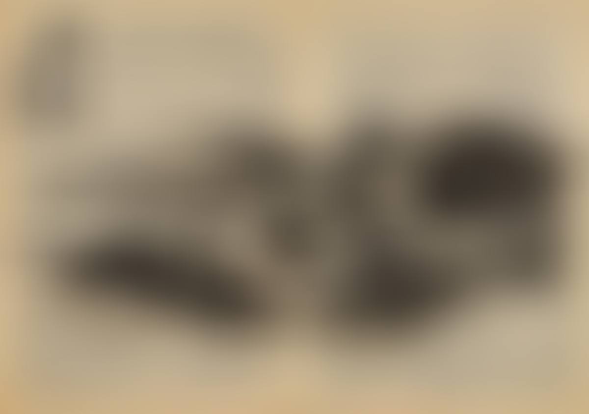 VILLAGE (preview)