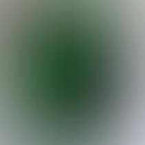 Green Algae (preview)