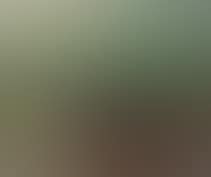 Landscape (preview)