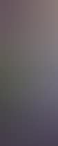 "Mauve and green decal" (preview)