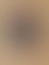 "Vitebsk wooden fence" (preview)