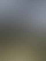 Peasant woman carrying hay (preview)